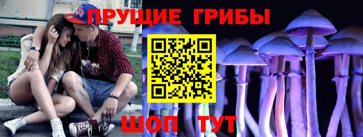 Галлюциногенные грибы Psilocybe Азнакаево